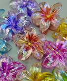 خریدآنلاین مینی کلیپس پلومریا وارداتی