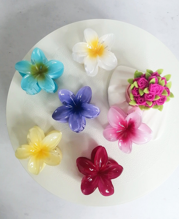 خریدآنلاین کلیپس پلومریا رنگی وارداتی